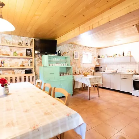 Miha - Mihcevo Plece Soča