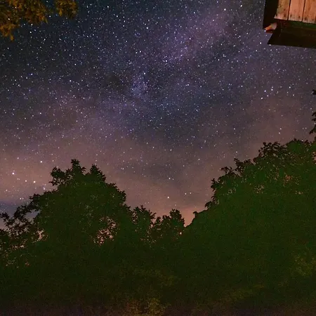 Miha - Mihcevo Plece Lodge Soča