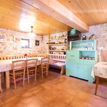 Miha - Mihcevo Plece Soča