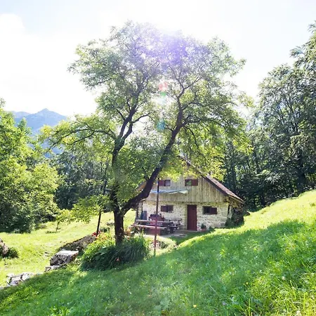 Miha - Mihcevo Plece Lodge *