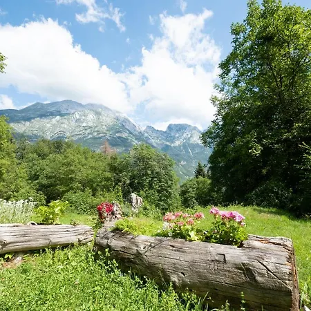 Miha - Mihcevo Plece *