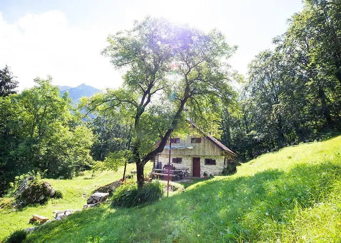 Miha - Mihcevo Plece Lodge *