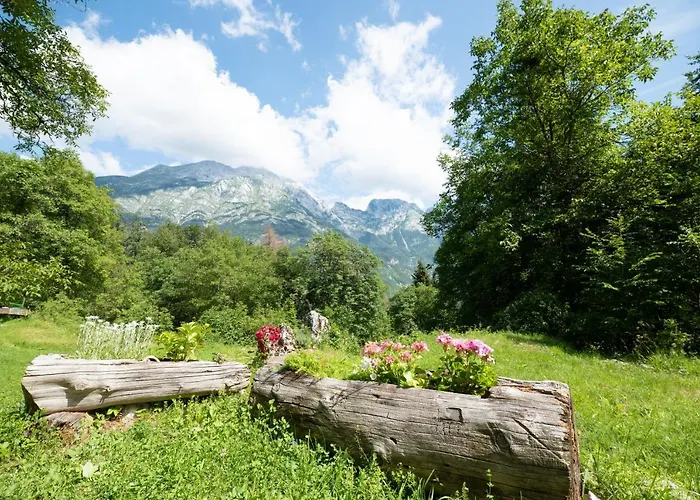 Miha - Mihcevo Plece *